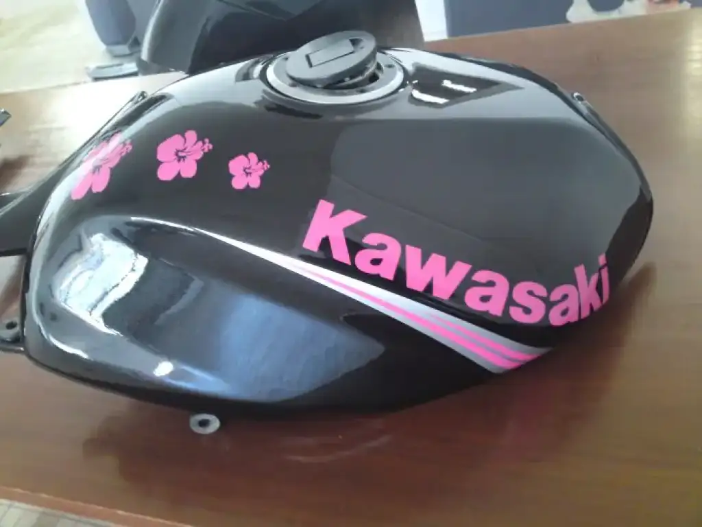 Kawasaki ER6 déco stickers hibiscus rose